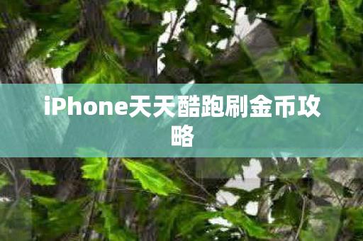 iPhone天天酷跑刷金币攻略图片