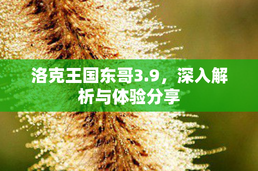 深入解析与体验分享图片
