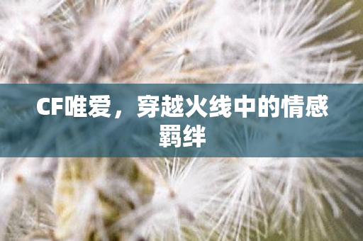 穿越火线中的情感羁绊图片