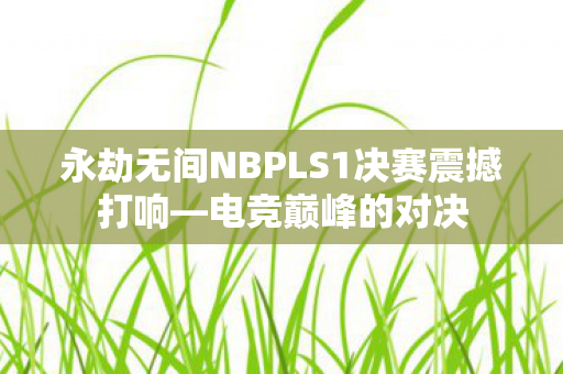 永劫无间NBPLS1决赛震撼打响图片