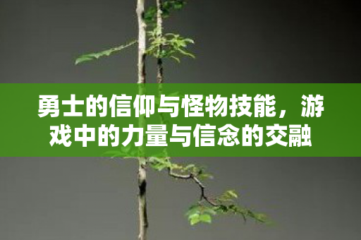 游戏中的力量与信念的交融图片