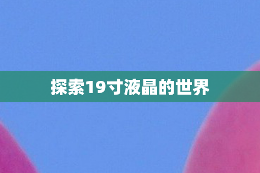 探索19寸液晶的世界图片