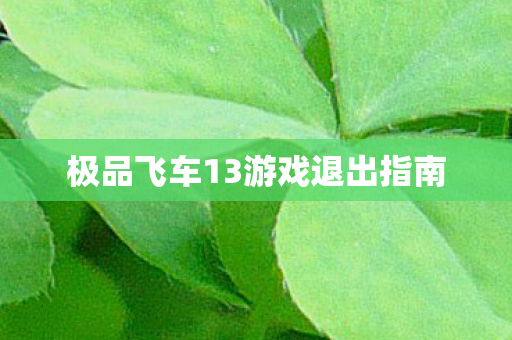 极品飞车13游戏退出指南图片