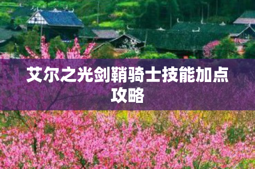 艾尔之光剑鞘骑士技能加点攻略图片