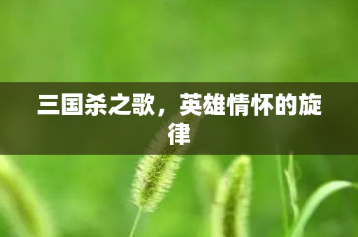 英雄情怀的旋律图片