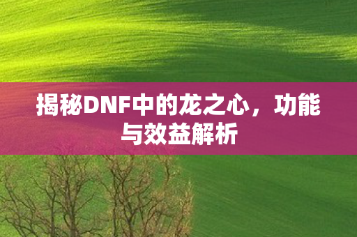 揭秘DNF中的龙之心图片