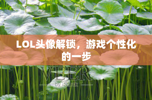 游戏个性化的一步图片