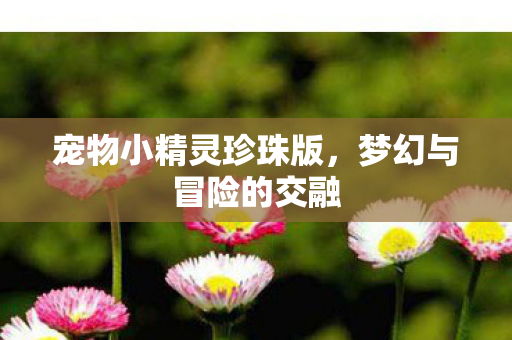 宠物小精灵珍珠版图片
