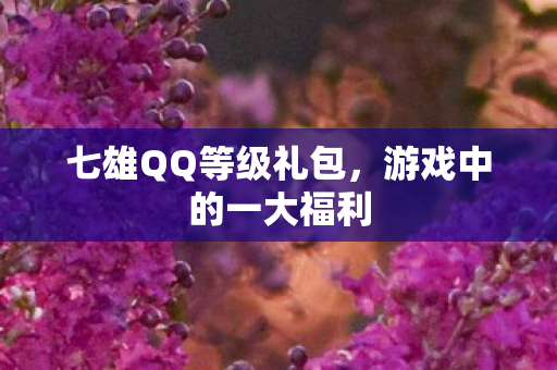 七雄QQ等级礼包图片