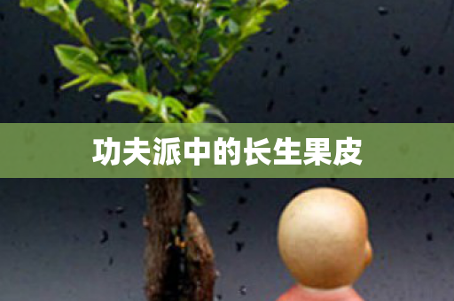 功夫派中的长生果皮图片