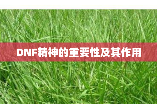 DNF精神的重要性及其作用图片