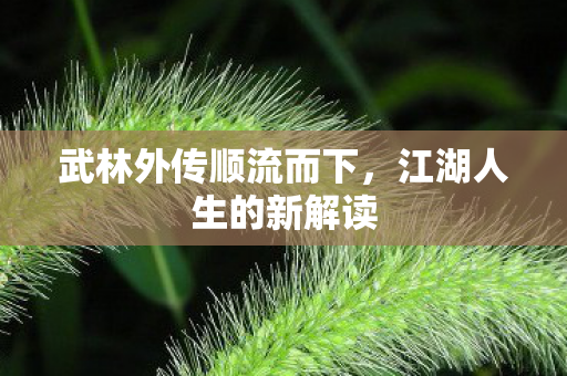 武林外传顺流而下图片