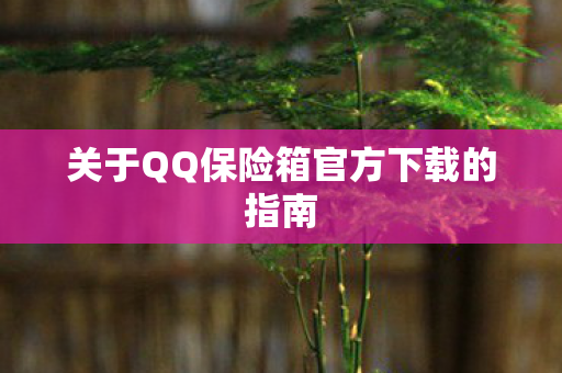 关于QQ保险箱官方下载的指南图片