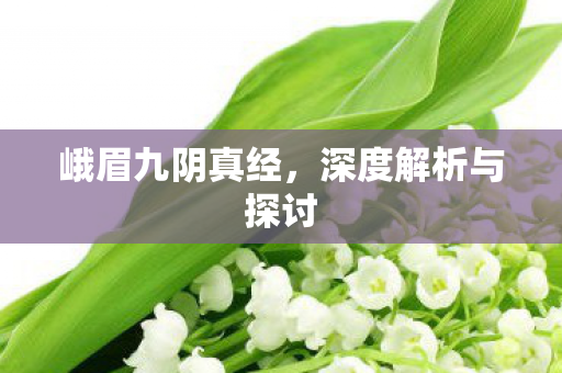深度解析与探讨图片