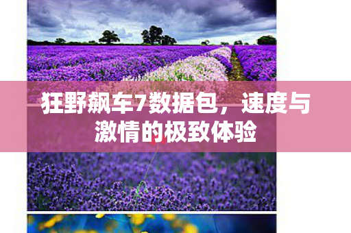 速度与激情的极致体验图片