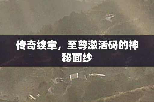 至尊激活码的神秘面纱图片
