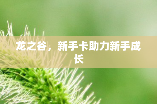 新手卡助力新手成长图片