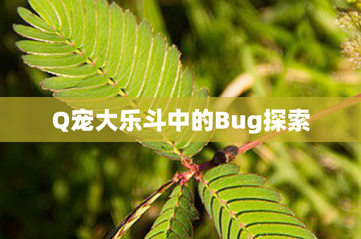 Q宠大乐斗中的Bug探索图片