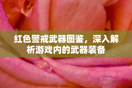 深入解析游戏内的武器装备图片
