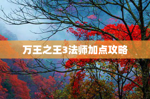 万王之王3法师加点攻略图片
