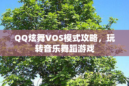 QQ炫舞VOS模式攻略图片