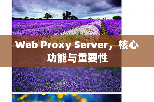 Web Proxy Server图片