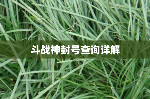 斗战神封号查询详解图片