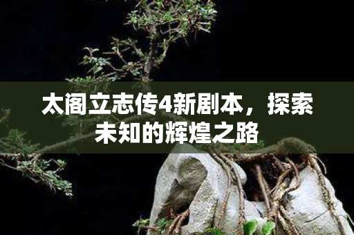 太阁立志传4新剧本图片