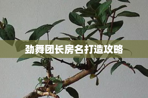 劲舞团长房名打造攻略图片