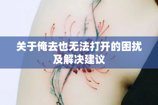关于俺去也无法打开的困扰及解决建议图片
