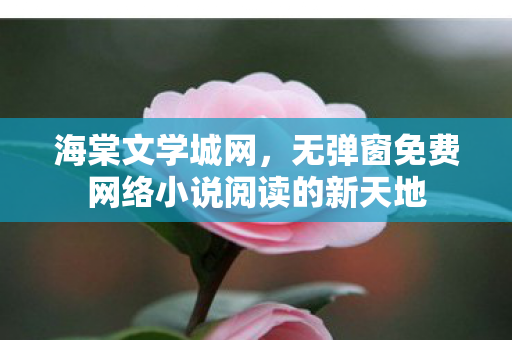 无弹窗免费网络小说阅读的新天地图片