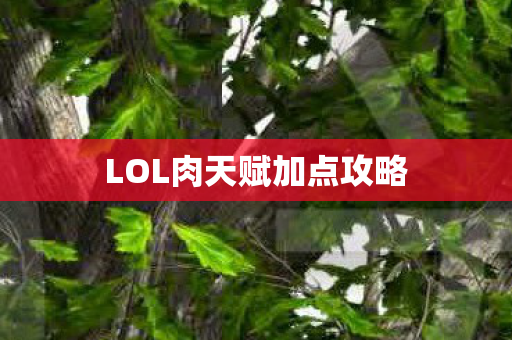 LOL肉天赋加点攻略图片