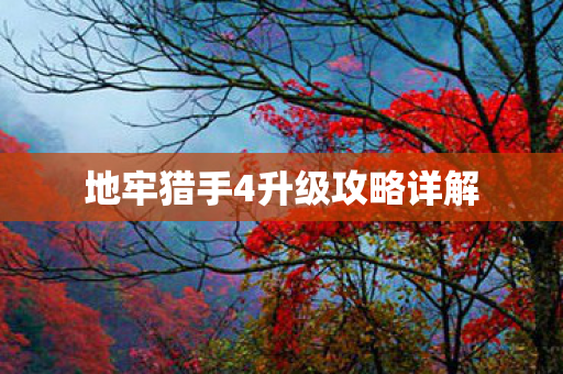 地牢猎手4升级攻略详解图片
