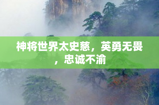 神将世界太史慈图片