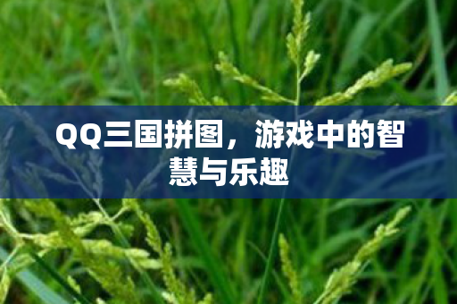 游戏中的智慧与乐趣图片