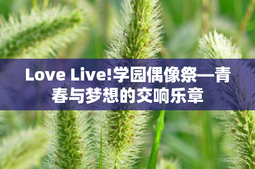 青春与梦想的交响乐章图片
