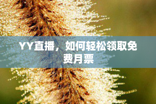 如何轻松领取免费月票图片