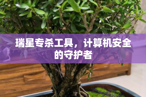 计算机安全的守护者图片