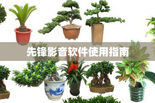 先锋影音软件使用指南图片