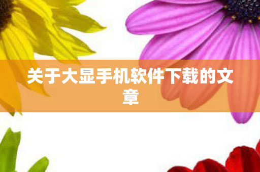 关于大显手机软件下载的文章图片