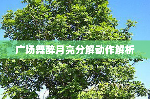 广场舞醉月亮分解动作解析图片