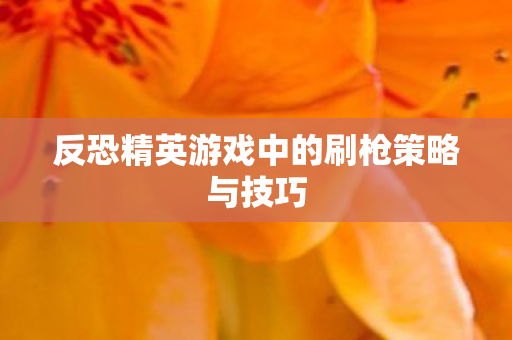 反恐精英游戏中的刷枪策略与技巧图片