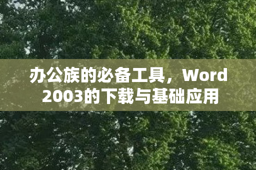 Word 2003的下载与基础应用图片