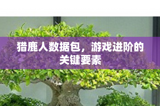 游戏进阶的关键要素图片