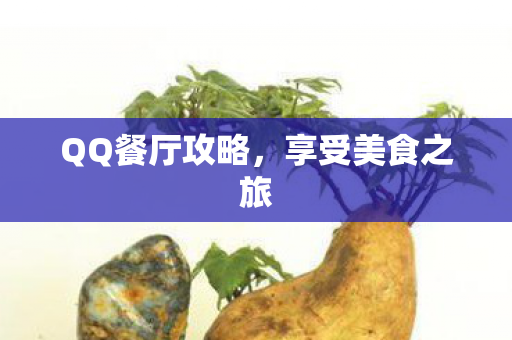 QQ餐厅攻略图片