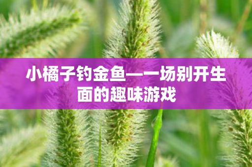 一场别开生面的趣味游戏图片