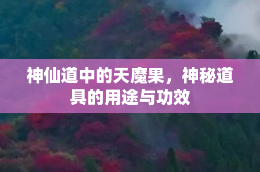 神秘道具的用途与功效图片