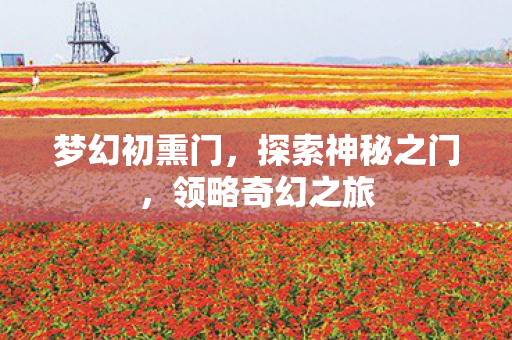探索神秘之门图片