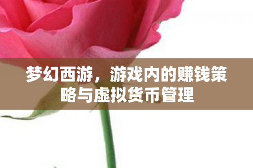 游戏内的赚钱策略与虚拟货币管理图片