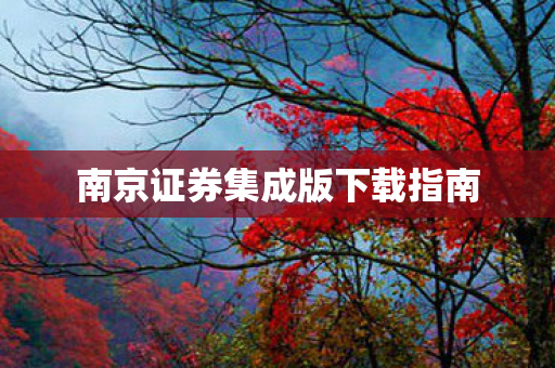 南京证券集成版下载指南图片
